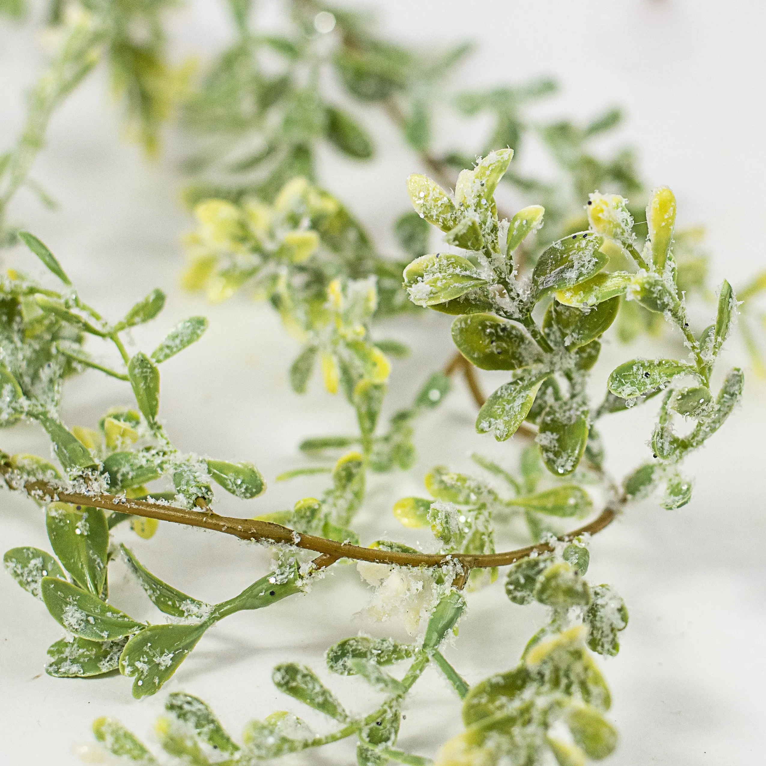 6' Snow Boxwood Greenery Garland