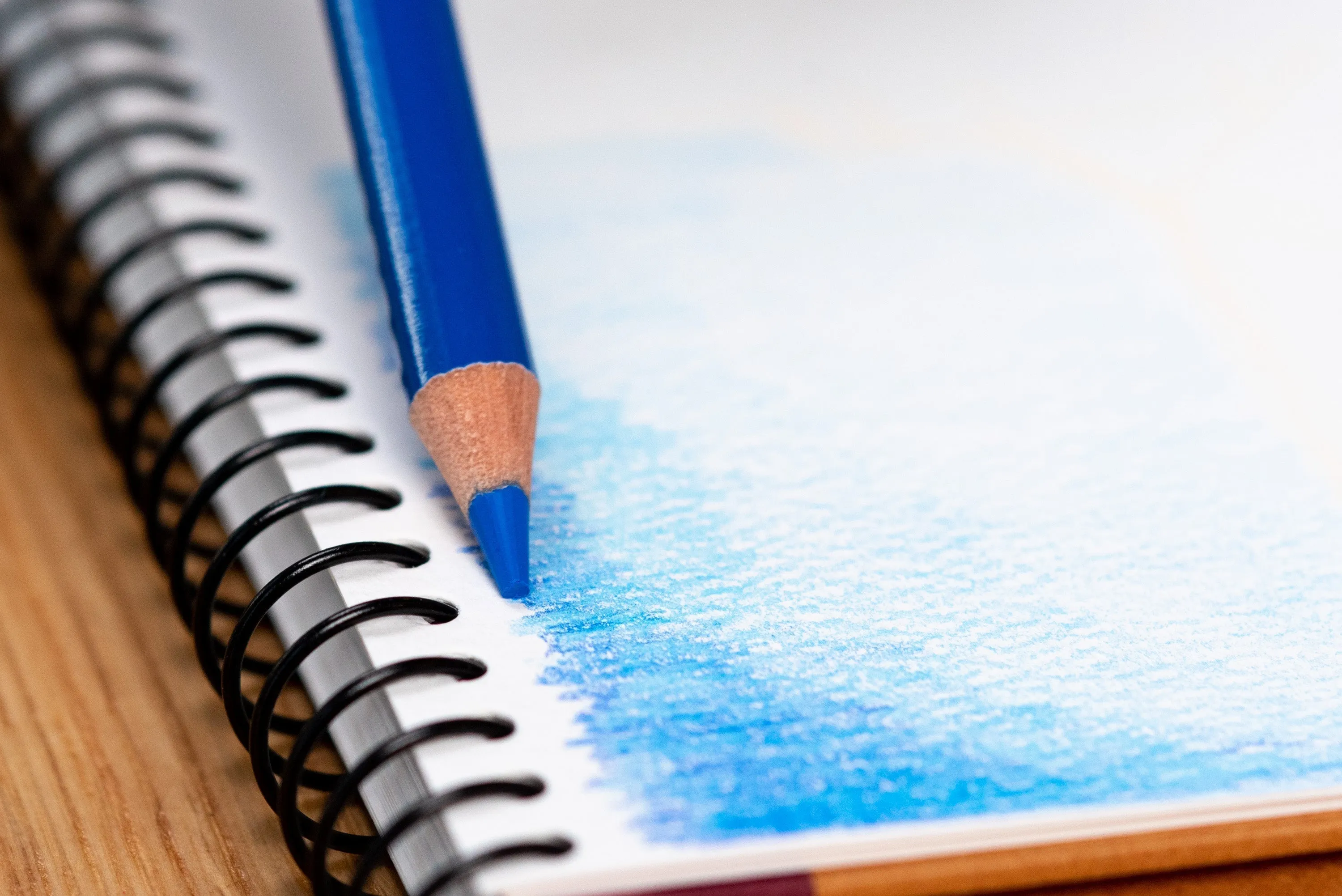 Polycolor Colored Pencils, #22 Vandyke Brown
