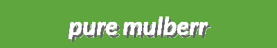 Pure Mulberry Silk Essentials | Sustainable Luxury | SilkenHeritage
